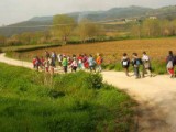 Assisi Online
