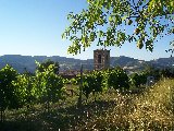Assisi Online