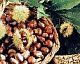 Perugia Online
